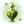 00000800.webp