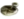 00004098.webp
